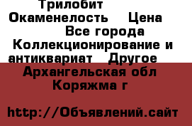 Трилобит Asaphus. Окаменелость. › Цена ­ 300 - Все города Коллекционирование и антиквариат » Другое   . Архангельская обл.,Коряжма г.